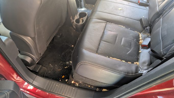 Jeep rear seats with food crumbs, dog hair, and dirt before professional detailing in Mildenhall Suffolk