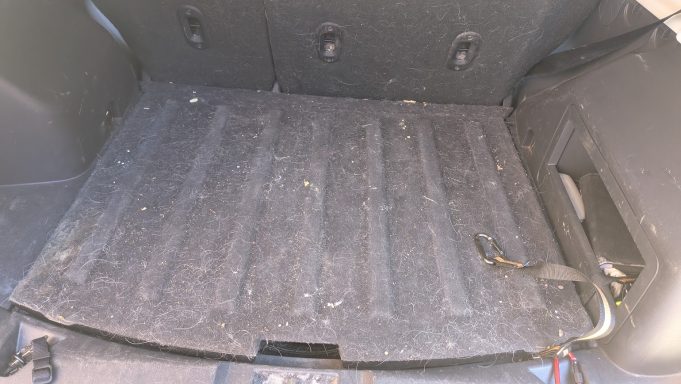 Car boot in Mildenhall Suffolk covered in dog hair and debris before full interior valet